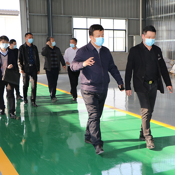 汉川市人大常委会主任黄汉桥，庙头镇党委书记等一行到湖北睿智调研、指导工作